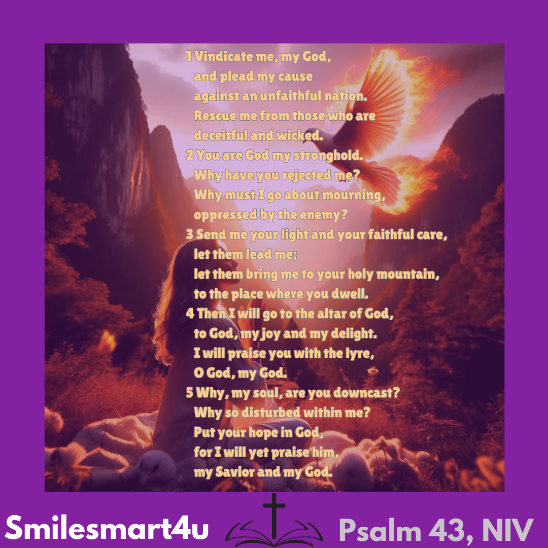 scripture-meditation-240825-psalm-43-niv-smilesm-art